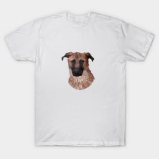 Lincoln the Dane Mix T-Shirt